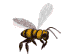 Пчелка в полете