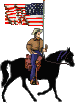 Ковбой с флагом США