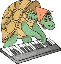 Черепаха музыцирует