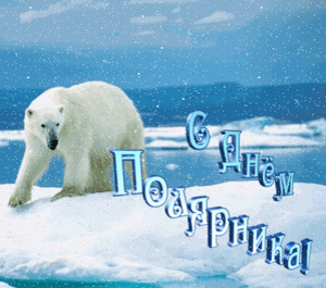  <b>21</b> мая День Полярника.Белый медведь на льдине 