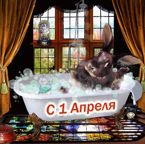 С Днем Смеха! Кролик в ванне