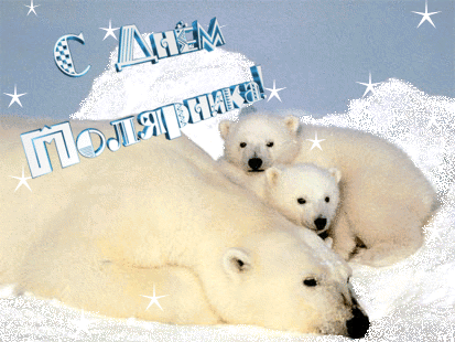 21 мая День Полярника.Группа белых медведей