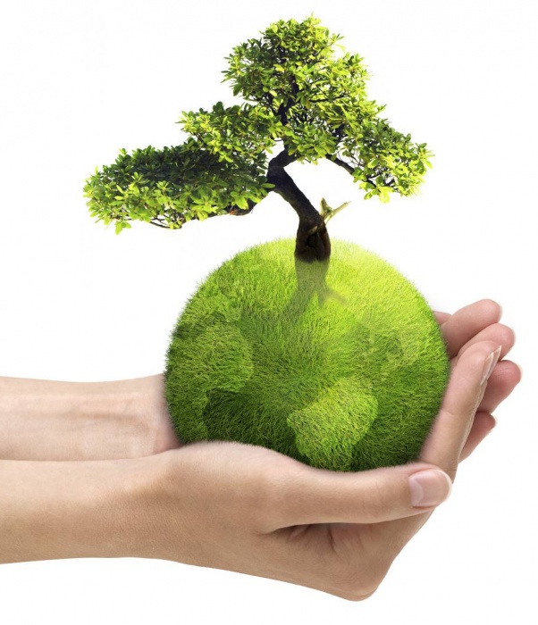Всемирный день окружающей среды и День эколога