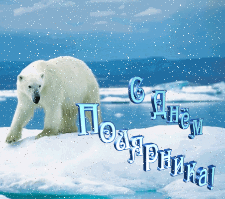 21 мая День Полярника.Белый медведь на льдине