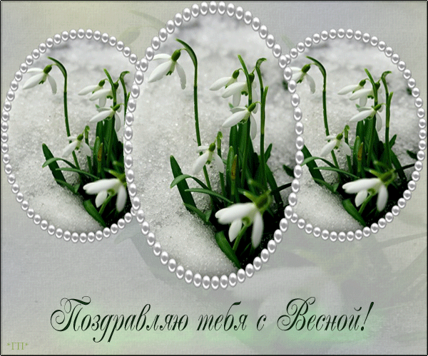 С днем подснежника! Поздравляю тебя с Весной! 19 апреля