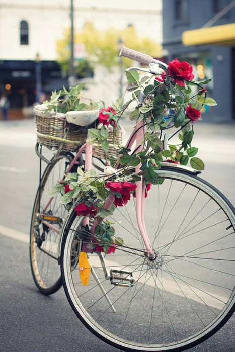 Открытки. 23 апреля День велосипеда. Велосипед с цветами