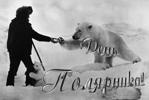 21 мая День Полярника.Полярник с белыми медведями