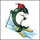 Дельфинчик на лыжах - олимпиада в Сочи
