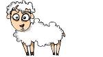 Овца с большими удивленными глазами
