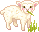 Жующая овечка