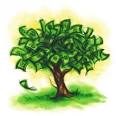 Долларовое дерево