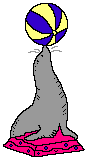 Морской котик с шаром