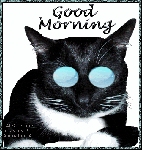  Доброго <b>утра</b>! Черный кот 
