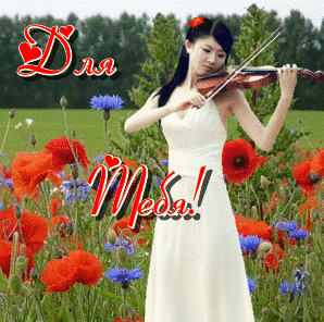  Музыка души для тебя! Девушка играет на поле <b>цветущих</b> маков 