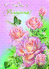 С днем рождения! Розовые розы