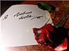 Роза рядом с листочком с надписью Я люблю тебя!