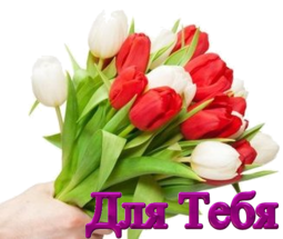 Тюльпаны для тебя