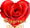  Красная роза с надписью Сердечное <b>спасибо</b>! 