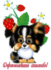 Благодарность от щенка с ягодами
