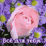  <b>Все</b> для тебя. Розовая роза 