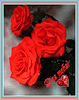  Для тебя! три красные розы и <b>сердечко</b> 