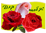 Для тебя! Две красные и розовая роза