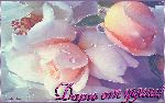 Дарю от души! Розы розовые лежат на столе