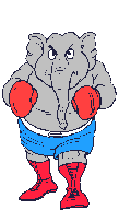 Слон боксёр