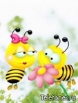  <b>Влюбленные</b> пчелки 