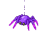 Сиреневый паук