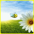 Пчела летит к ромашке