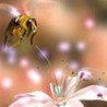 Пчела у цветка
