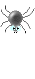 Глазастый паук