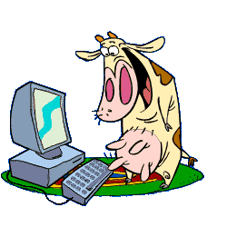 Корова в восторге от компьютера