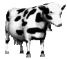 Корова черно-белая