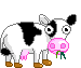 Жующая корова