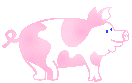 Пятнистая свинка