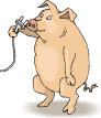 Свин с электровилкой