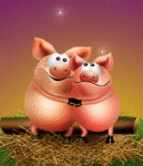 Влюбленные свинки