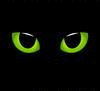 Кошачьи глаза моргают в темноте
