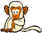 Белая обезьянка