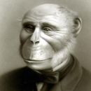 Человеко-обезьяна в костюме