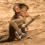 Обезьянка с гитарой
