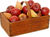 Собранные фрукты