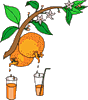 Апельсины отдают сок в стаканы