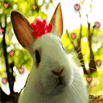 Кролик с красным цветком на голове на фоне деревьев и сер...