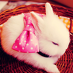 Белый кролик с розовым бантом сидит в корзинке