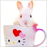  <b>Кролик</b> выглядывает с чашки 