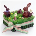 Шоколадные кролики в коробочке к празднику пасхи