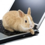 Кролик на ноутбуке